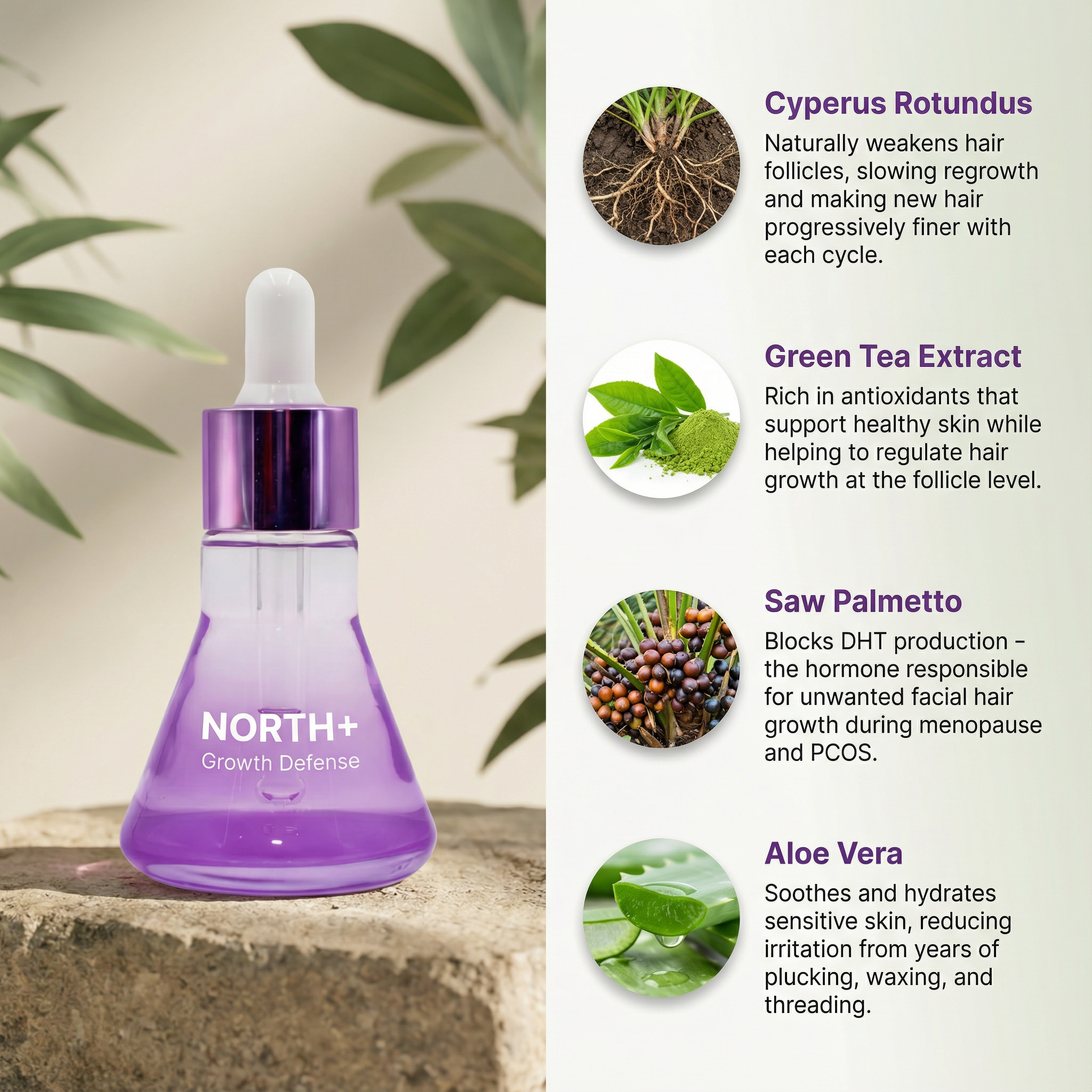 NORTH+ Growth Defense